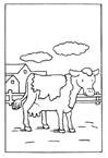 Disegno 15 Mucche