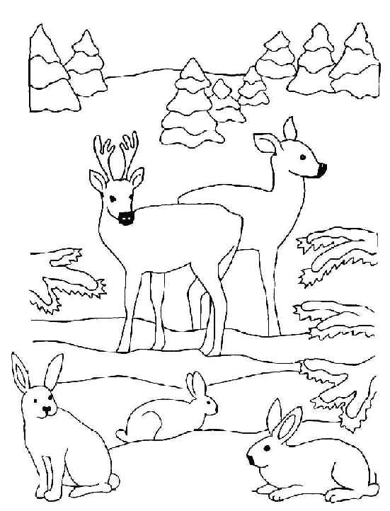 Disegno 1 Natale animali