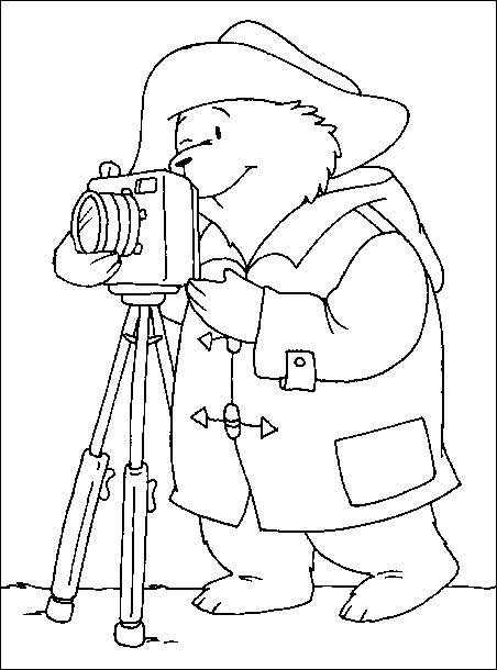 Disegno 5 Paddington bear