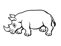 Disegno 4 Rinoceronti