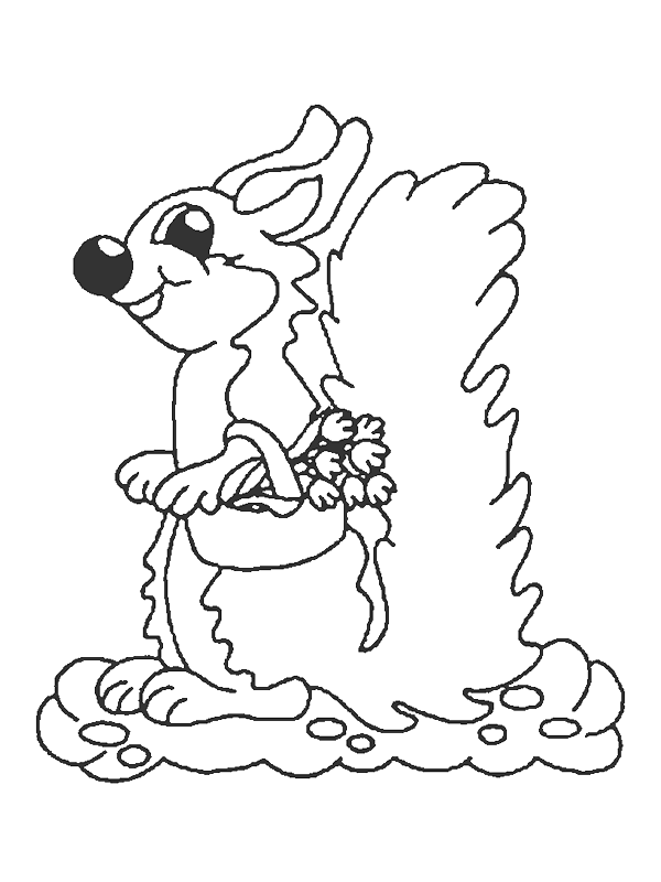 Disegno 14 Scoiattolo