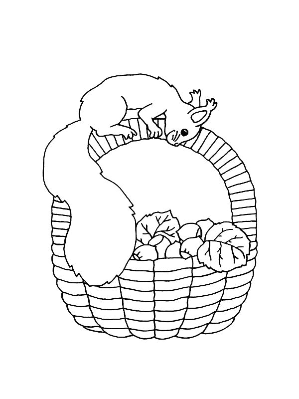 Disegno 8 Scoiattolo