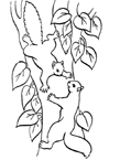 Disegno 15 Scoiattolo