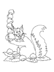 Disegno 7 Scoiattolo