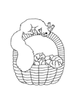 Disegno 8 Scoiattolo