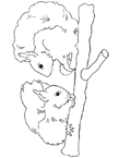 Disegno 9 Scoiattolo