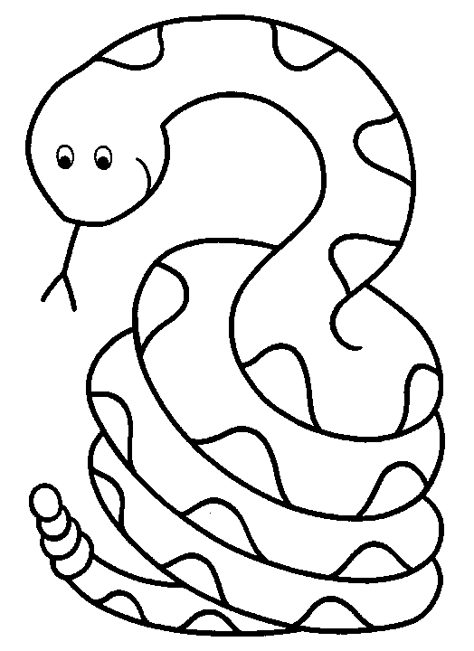 Disegno 8 Serpenti