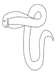 Disegno 22 Serpenti