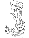 Disegno 29 Serpenti