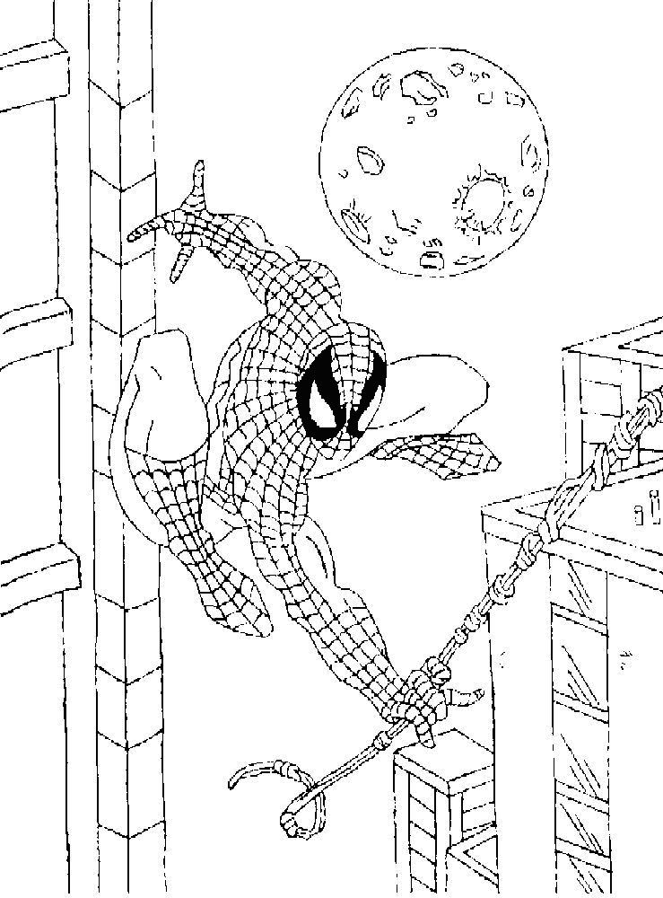 Disegno 11 Spiderman