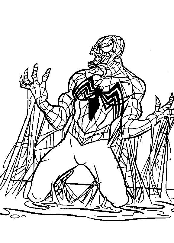 Disegno 141 Spiderman