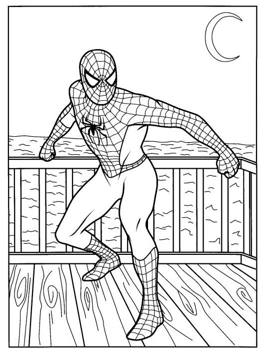 Disegno 148 Spiderman