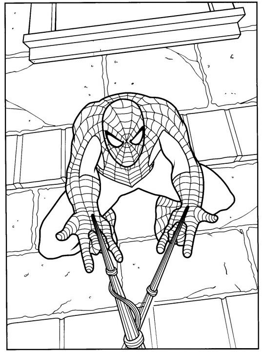 Disegno 41 Spiderman