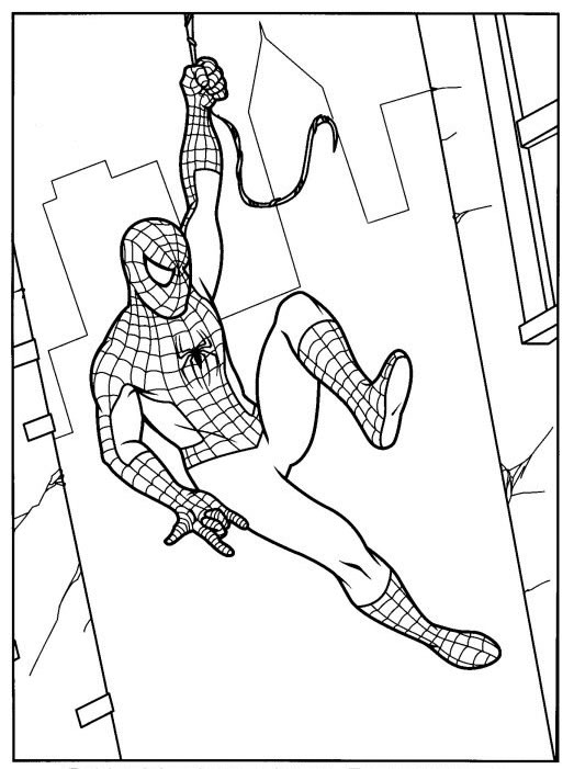 Disegno 79 Spiderman