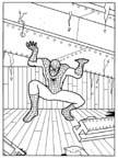 Disegno 106 Spiderman