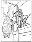 Disegno 146 Spiderman