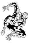 Disegno 15 Spiderman