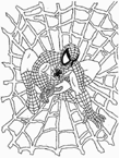 Disegno 2 Spiderman