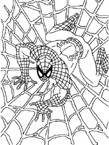 Disegno 29 Spiderman