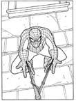 Disegno 41 Spiderman
