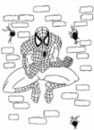 Disegno 5 Spiderman
