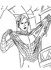 Disegno 52 Spiderman