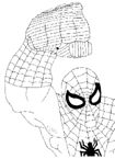 Disegno 8 Spiderman