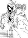 Disegno 92 Spiderman