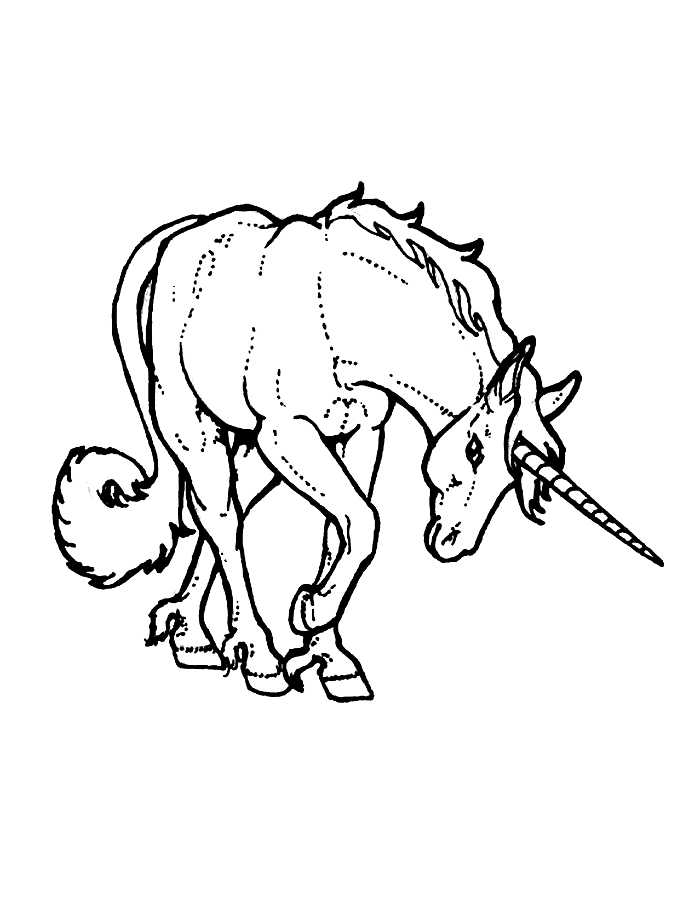 Disegno 37 Unicorno