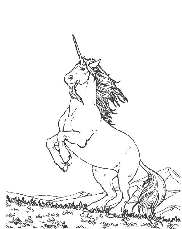 Disegno 38 Unicorno