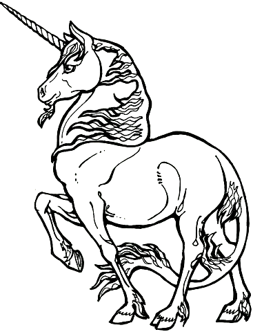 Disegno 40 Unicorno