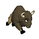 bisonte 6