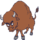 bisonte 8