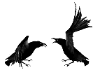 corvo 3