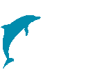 delfini 106