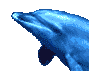 delfini 112