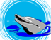 delfini 18
