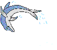 delfini 54