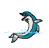 delfini 55