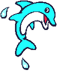 delfini 79
