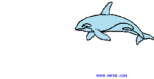 delfini 85