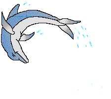 delfini 90