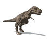 dinosauri 146
