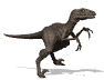 dinosauri 148