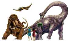 dinosauri 55
