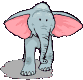 elefanti 102