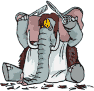 elefanti 138
