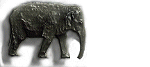 elefanti 147