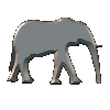 elefanti 155