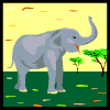 elefanti 158